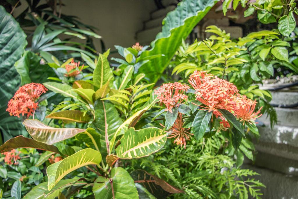 Villa Seriska Seminyak Екстериор снимка